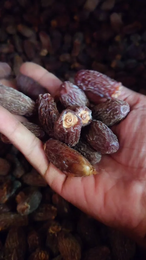Picking Up Palm Dates By Hand And Dropping Them Back Into The Pile, POV Stock Footage 348132247