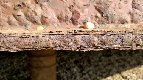 Picking up pebble from shelf on Brighton pier Stock Footage 81677348