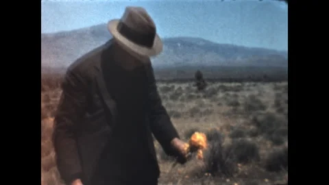Picking Poppies 1939 Stock Footage 242875772