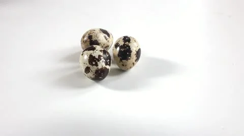 Picking Quail Eggs Stock Footage 21451335