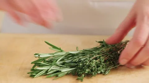 Picking rosemary leaves from stems Video stock 24664799