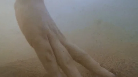 Picking a seashell from the sea sand Video stock 117632017