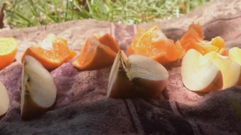 Picking up Slices of Apples and Oranges 1 Video stock 335046360