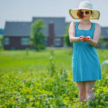 Picking strawberries Stock Photos