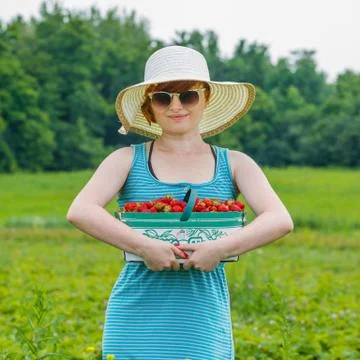 Picking strawberries Stock Photos