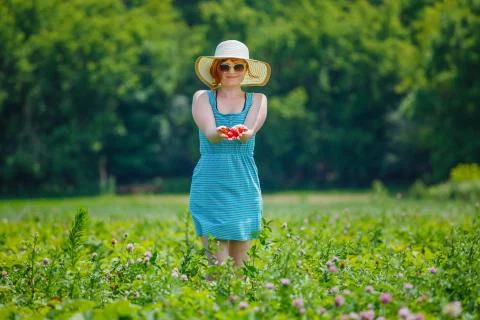 Picking strawberries Stock Photos