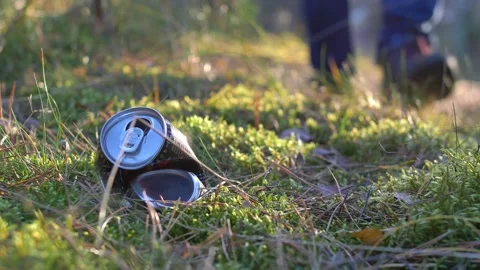 Picking Up Trash Cans and Bottles in Forest with Backlight Sunrise Light 動画素材 145261441