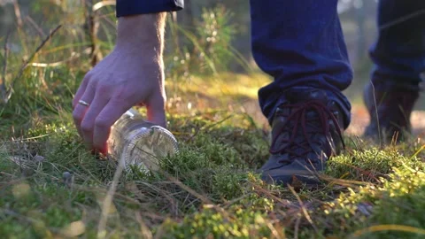 Picking Up Trash Cans and Bottles in Forest with Backlight Sunrise Light 動画素材 145261464