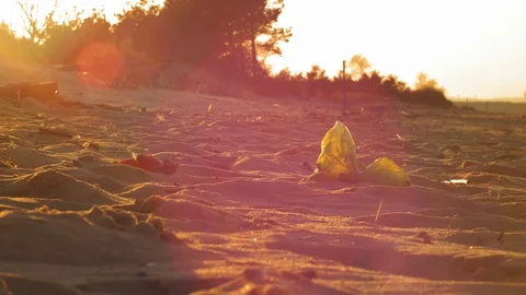 Picking Up Trash Litter at Sandy Beach at Sunset with Lens Flare Slow Motion Video stock 127171944