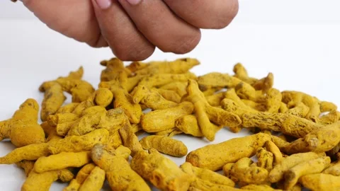 Picking turmeric isolated over white background 動画素材 147695842