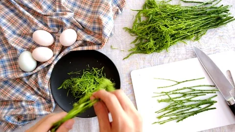 Picking vegetables 2 Stock Footage 73899721