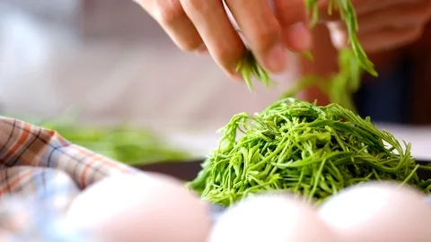 Picking vegetables 3 Stock Footage 73899718