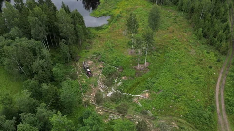 Picking up wood, land clearing machine, top-down aerial view deforestation Stock Footage 279528287