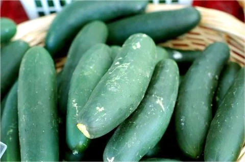 Pickle in bucket Stock Photos