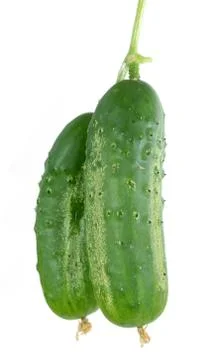 Pickle cucumber Stock Photos