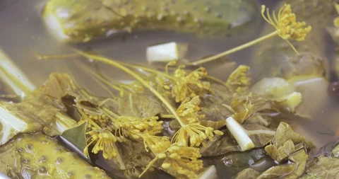 Pickle cucumbers with dill Stock Footage 101643565