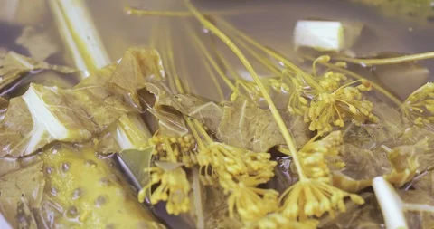 Pickle cucumbers with dill Stock Footage 111924652