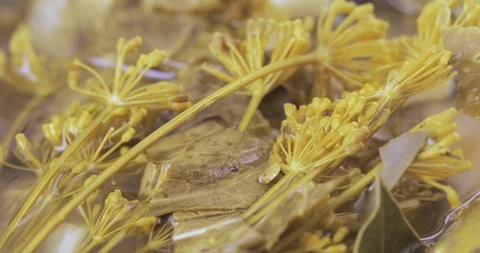 Pickle cucumbers with dill Stock Footage 117798332