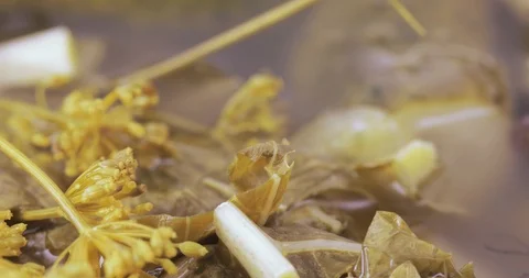 Pickle cucumbers with dill Stock Footage 121319935