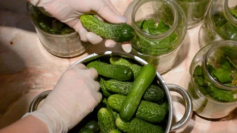 Pickle cucumbers Stock Footage 110754347