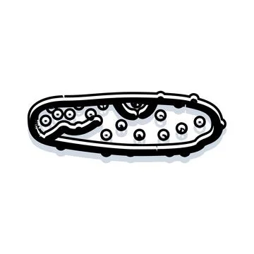 Pickle doodle drawing vector illustration art Stock Illustration