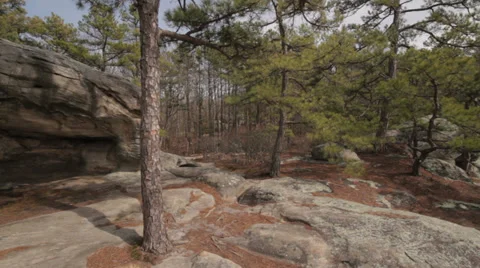 Pickle Springs Stock Footage 37043766