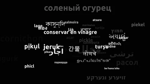 Pickle Translated in 56 Worldwide Languages Endless Looping 3d Zooming Wordcl Video stock 145223536