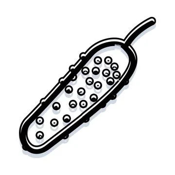 Pickle vegetable drawing outline doodle style design Stock Illustration