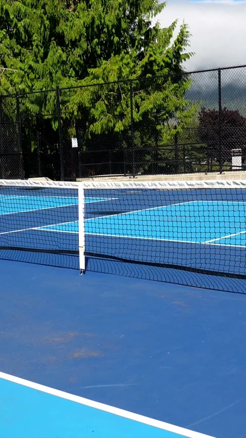 Pickleball net and empty blue court montage Stock Footage 315945730