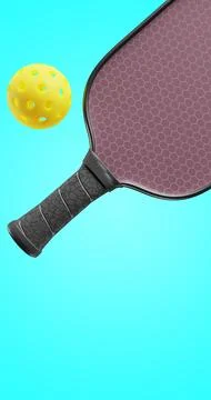 Pickleball is part of a racket ball Illustrazione stock