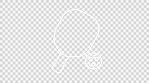 Pickleball white line animation Stock Footage 238902862
