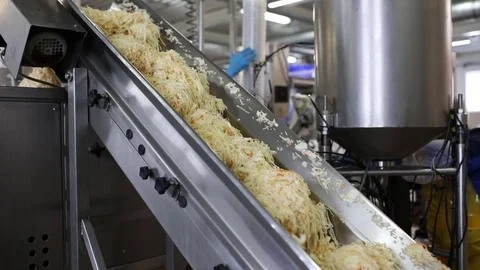 Pickled cabbage on a conveyor Stock Footage 74476299