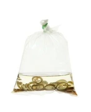 Pickled chilli in bag Stock Photos