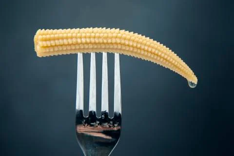 Pickled corn on a fork close-up on a dark background. food and vegetables Stock Photos