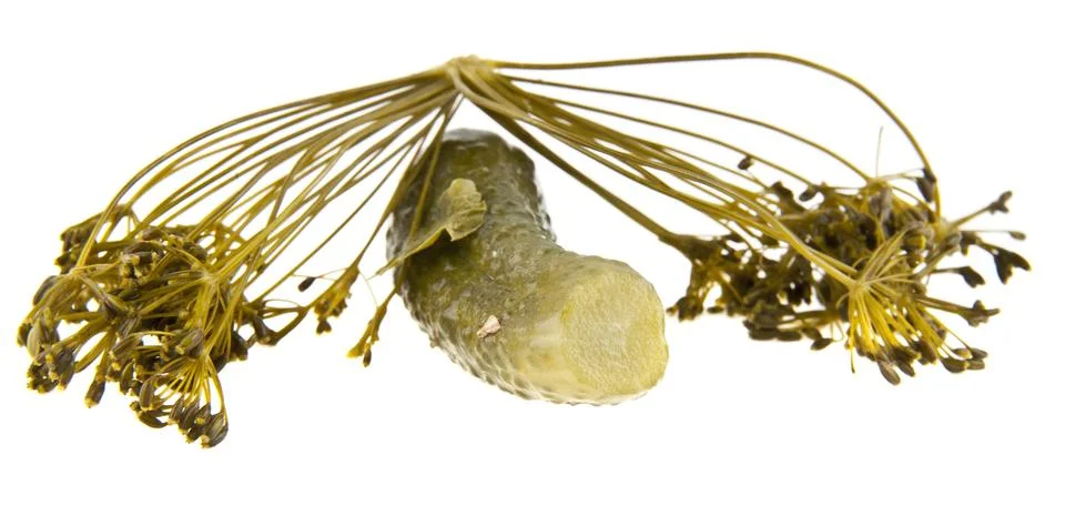 Pickled cucumbe Stock Photos