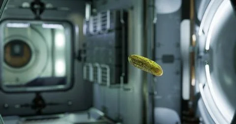 Pickled cucumber floating in zero gravity on the international space station Stock Illustration