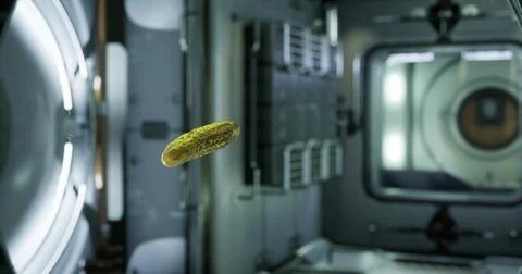 Pickled cucumber floats freely in zero gravity aboard the space station Stock Illustration
