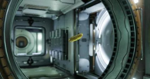 Pickled cucumber floats in zero gravity inside the international space statio Stock Illustration