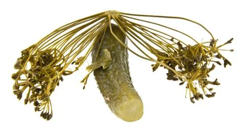 Pickled cucumber Stock Photos