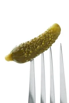 Pickled cucumber sticking on a fork Stock Photos