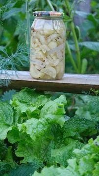 Pickled cucumbers and onions in a jar on a wooden bench in a garden Stock Photos