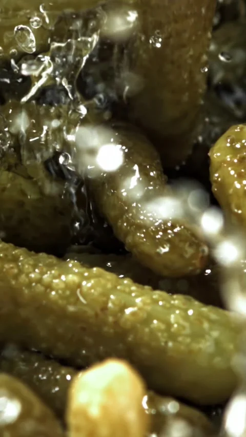 Pickled cucumbers fall into the brine. Filmed on a high-speed camera at 1000 fps Stock Footage 335381009