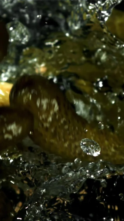 Pickled cucumbers fall with splashes. Filmed on a high-speed camera at 1000 fps Stock Footage 335357237