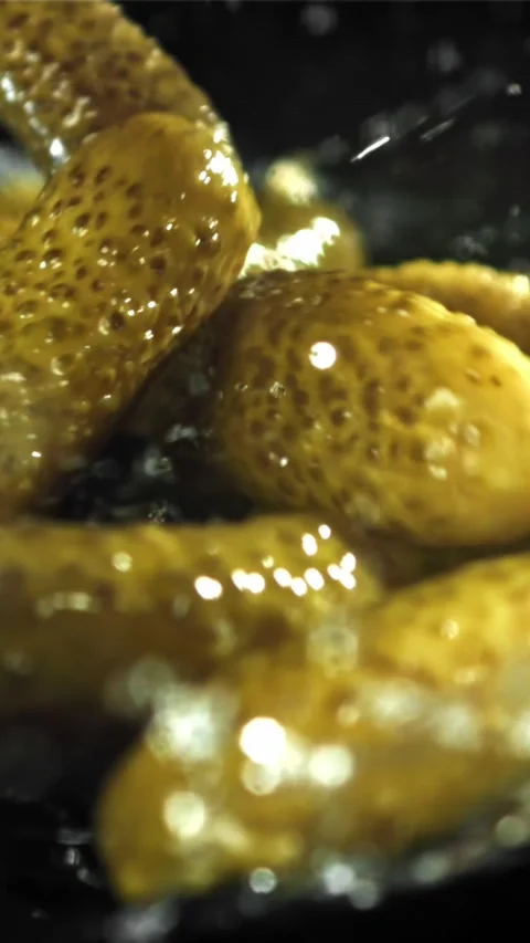 Pickled cucumbers fall with splashes. Filmed on a high-speed camera at 1000 fps Stock Footage 335361935