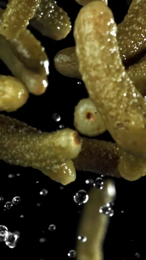 Pickled cucumbers fly up and fall down. Filmed on a high-speed camera at 1000 Stock Footage 335374541