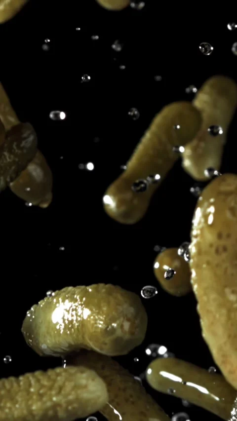 Pickled cucumbers fly up and fall down. Filmed on a high-speed camera at 1000 Stock Footage 335375538