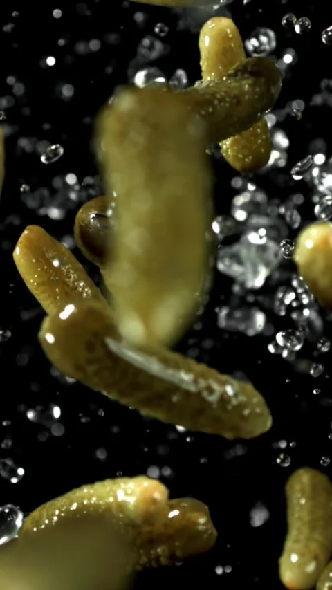 Pickled cucumbers fly up and fall down. Filmed on a high-speed camera at 1000 Stock Footage 335380455