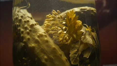 Pickled cucumbers Stock Footage 170184500