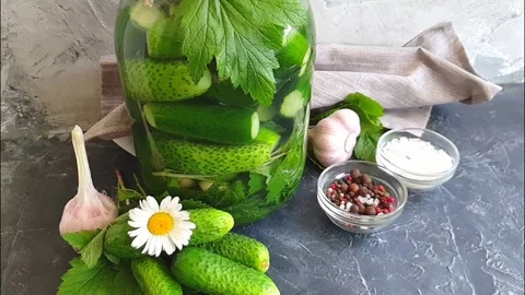 Pickled cucumbers on gray concrete background Stock Footage 109341180