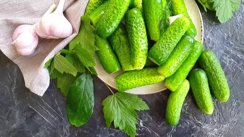 Pickled cucumbers on gray concrete background Stock Footage 109341185